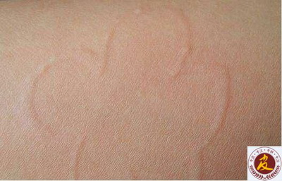 ݡ֢״Щ  ݡ