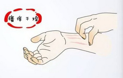 ţƤѢмƤע