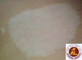 综ôòиõЧ