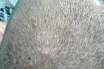 ëզ Ʒ